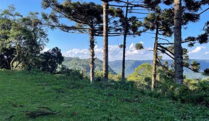 Area de Terra à venda no Bairro Três Pinheiros com 16500 m² de área privativa