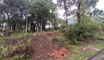 Terreno à venda no Bairro Carniel com 450 m² de área privativa