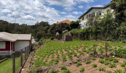 Terreno à venda no Bairro Pórtico 2 com 426 m² de área privativa