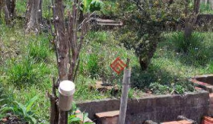 Terreno à venda, 520 m² por R$ 2.000.000,00 - Parque das Nações - Santo André/SP