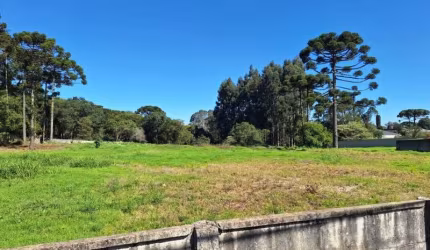 Oportunidade para construtoras terreno exclusivo