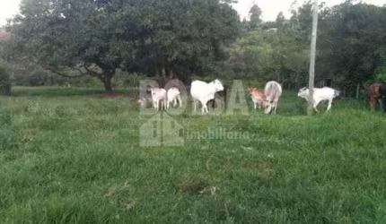 Fazenda para venda com 8 alq. e 2 quartos em PARQUE FERRADURA MIRIM, Bauru - SP