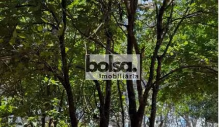 Chácara de Lazer com piscina muito arborizada