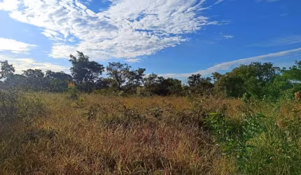 Terreno Vale do Igapó 1275,32 MTs²  R$ 115.000,00