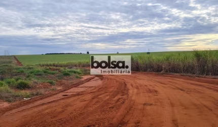 FAZENDA ARRENDADA CANA AÇUCAR