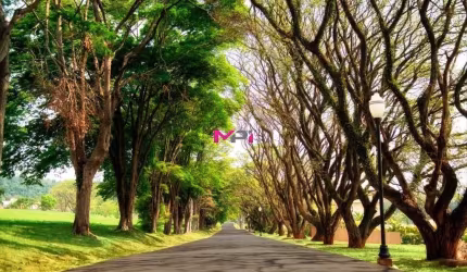 Terreno a venda Fazenda Serra Azul Fase 1 Itupeva SP