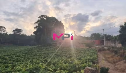 Vende-se Chácara entre Itupeva e Indaiatuba , com nascente de agua e plantação de uva