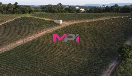 Área a venda Fazenda Grande Jundiai SP