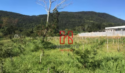 Terreno à venda, 5000 m² por R$ 2.500.000,00 - Santo Antônio de Lisboa - Florianópolis/SC