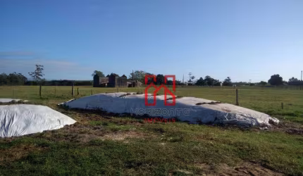 Fazenda com 3 dormitórios à venda, 3300000 m² por R$ 30.000.000,00 - Três Coqueiros - São João do Sul/SC
