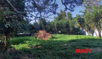 Terreno comercial para alugar na Andre Wendhausen, Coqueiros, Florianópolis, 552 m2 por R$ 6.600