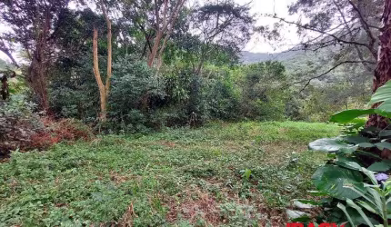 Terreno comercial para alugar na Rua Manoel Petronilho da Silveira, São João do Rio Vermelho, Florianópolis, 2400 m2 por R$ 1.800