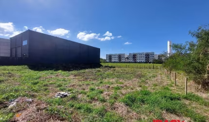Terreno comercial para alugar na da Tecnologia, Pachecos, Palhoça, 1255 m2 por R$ 3.800