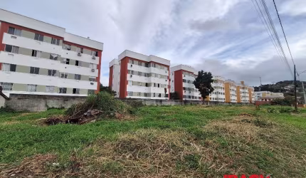 Terreno comercial para alugar na Rua São Pedro, Morro da Bina, Biguaçu, 2531 m2 por R$ 4.000