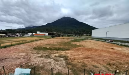 Terreno comercial para alugar na Rua Manoel João Martins, Praia de Fora, Palhoça, 3645 m2 por R$ 7.000