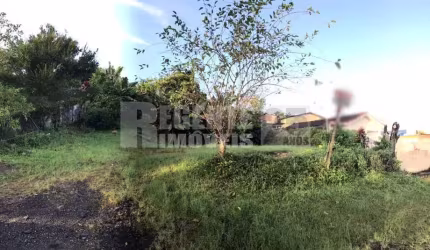 Terreno à venda no bairro joão paulo em florianópo