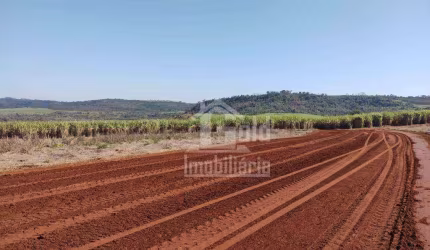 Sítio à venda, 69 alqueira em Cana-de-Açúcar por R$ 15.000.000 - Zona Rural - São Carlos/SP