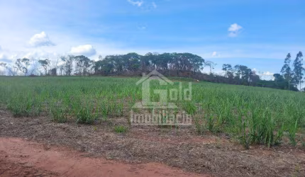 Sítio à venda com 52 Alqueires por R$ 5.800.000 - Zona Rural - Tambaú/SP