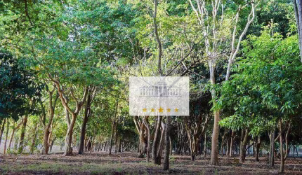 Terreno à venda, 502,50m² por R$ 106.000 - Zona Rural - Araçatuba/SP