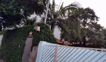 Terreno em Vila Yara  -  São Paulo