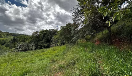 Terreno de aproximadamente 47 hectares no Periquito MG