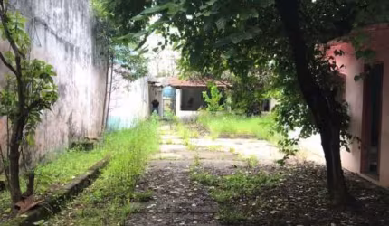 Terreno à venda, 500 m² - 10x50 - Rua Mmdc - Paulicéia - São Bernardo do Campo/SP