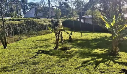 Terreno à venda, 1.050 m² (21 x 50) - Riacho Grande - São Bernardo do Campo/SP