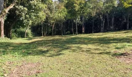 Terreno à venda, 1399 m² por R$ 350.000,00 - Riacho Grande - São Bernardo do Campo/SP