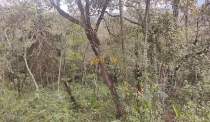 Chacara em Estância São Domingos  -  Santa Isabel