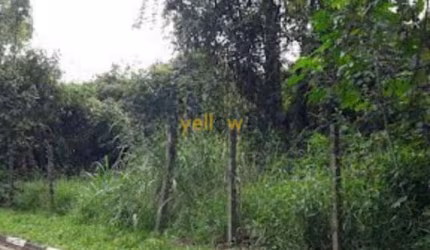 Terreno de Condominio em Arujázinho I, II e III  -  Arujá