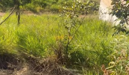 Terreno Residencial  em Parque Nossa Senhora das Graças  -  Itaquaquecetuba