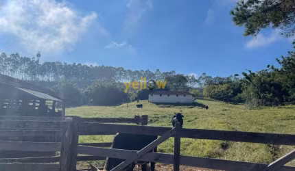 Fazenda de luxo em Boa Vista - Igaratá