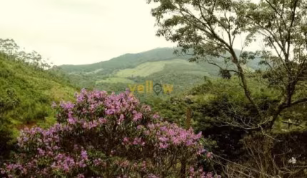 Chácara em Bairro Da Pedra Branca - Santa Isabel com 200m², 3 dormitórios e 3 banheiros por R$380.000 - Venda .
