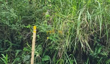 Se você está em busca de um lugar tranquilo e afastado da correria da cidade para construir a casa dos seus sonhos ou investir em um negócio rural, este terreno rural em Morro Grande - Santa Isabel é 