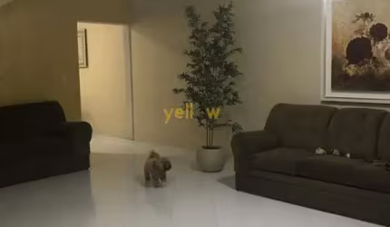 Casa de 3 dormitórios com 264m² em Suzano - Cruzeiro do Sul: venda por R$ 900.000