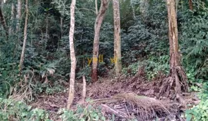 Terreno Rural à Venda em Recanto das Gaivotas - Santa Isabel
