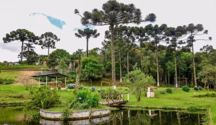 Espetacular Chácara a venda em São José dos Pinhais
