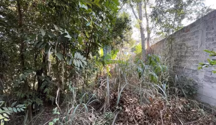Lote para Venda em Santa Luzia, Bom Destino