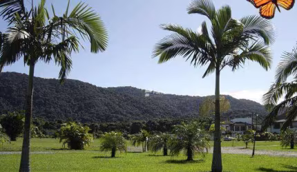 Terreno residencial à venda, Acapulco, Guarujá - TE0084.