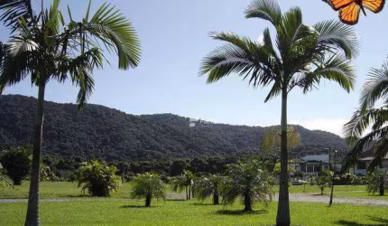 Terreno residencial à venda, Acapulco, Guarujá - TE0167.