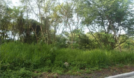 Terreno à venda, 600 m² por R$ 620.000,00 - Praia de Pernambuco - Guarujá/SP