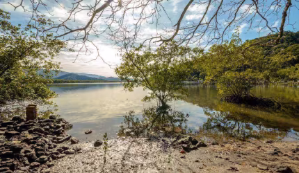 Terreno à venda, localizado no Canal da Estrada Guarujá Bertioga
