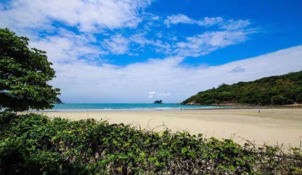 Casa com 3 dormitórios para alugar, 300 m² por R$ 6.000,00/dia - Praia de Pernambuco - Guarujá/SP