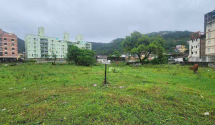 Terreno à venda na Praia da Enseada - Guarujá - São Paulo