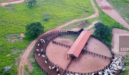 Fazenda à venda, 47220000 m² por R$ 160.000.000,00 - Centro - Ribas do Rio Pardo/MS