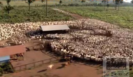 Fazenda à venda, 4270000000 m² por R$ 8.000.000.000,00 - Nova Marabá - Marabá/PA