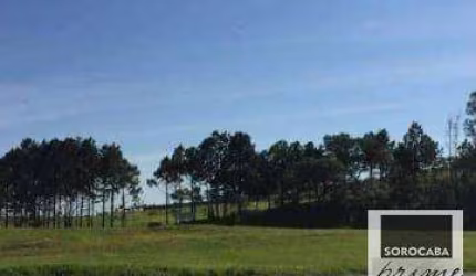 Área, 10900 m² - venda por R$ 3.900.000,00 ou aluguel por R$ 9.500,00/mês - Éden - Sorocaba/SP