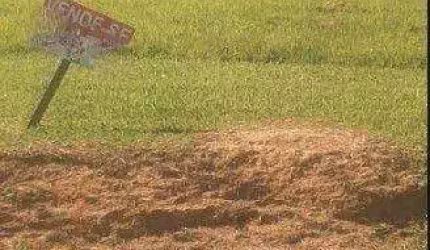 Terreno à venda, 1000 m² por R$ 240.000,00 - Condomínio Vale do Lago - Sorocaba/SP