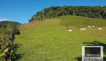 Fazenda à venda, 202000 m² por R$ 980.000,00 - Serra - Iporanga/SP