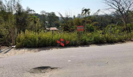Terreno à venda, 1300 m² por R$ 50.000,00 - Vila Favorino - Caçapava/SP
